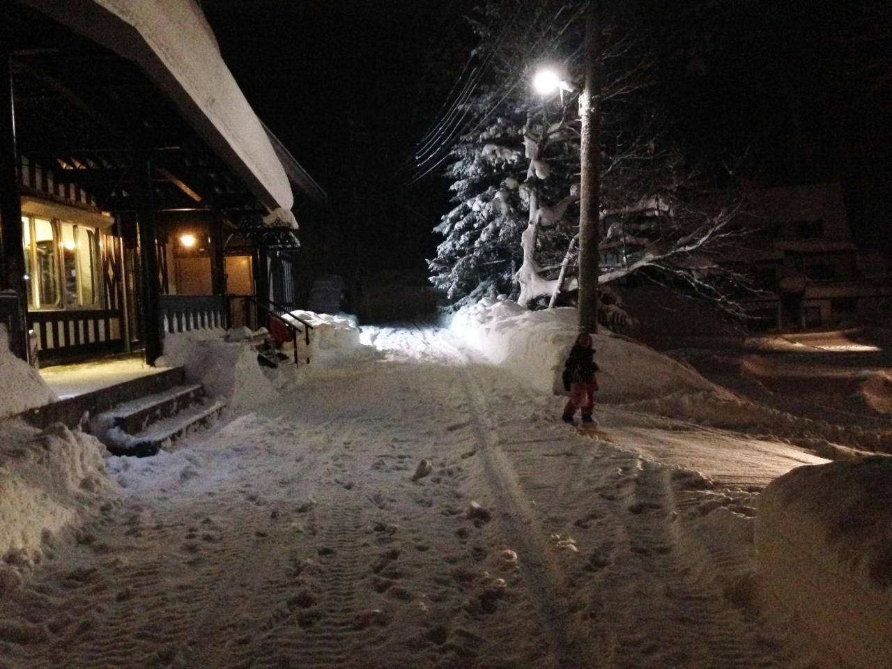 Ski-In, Ski-Out Iwatake Apartments Hakuba Zewnętrze zdjęcie